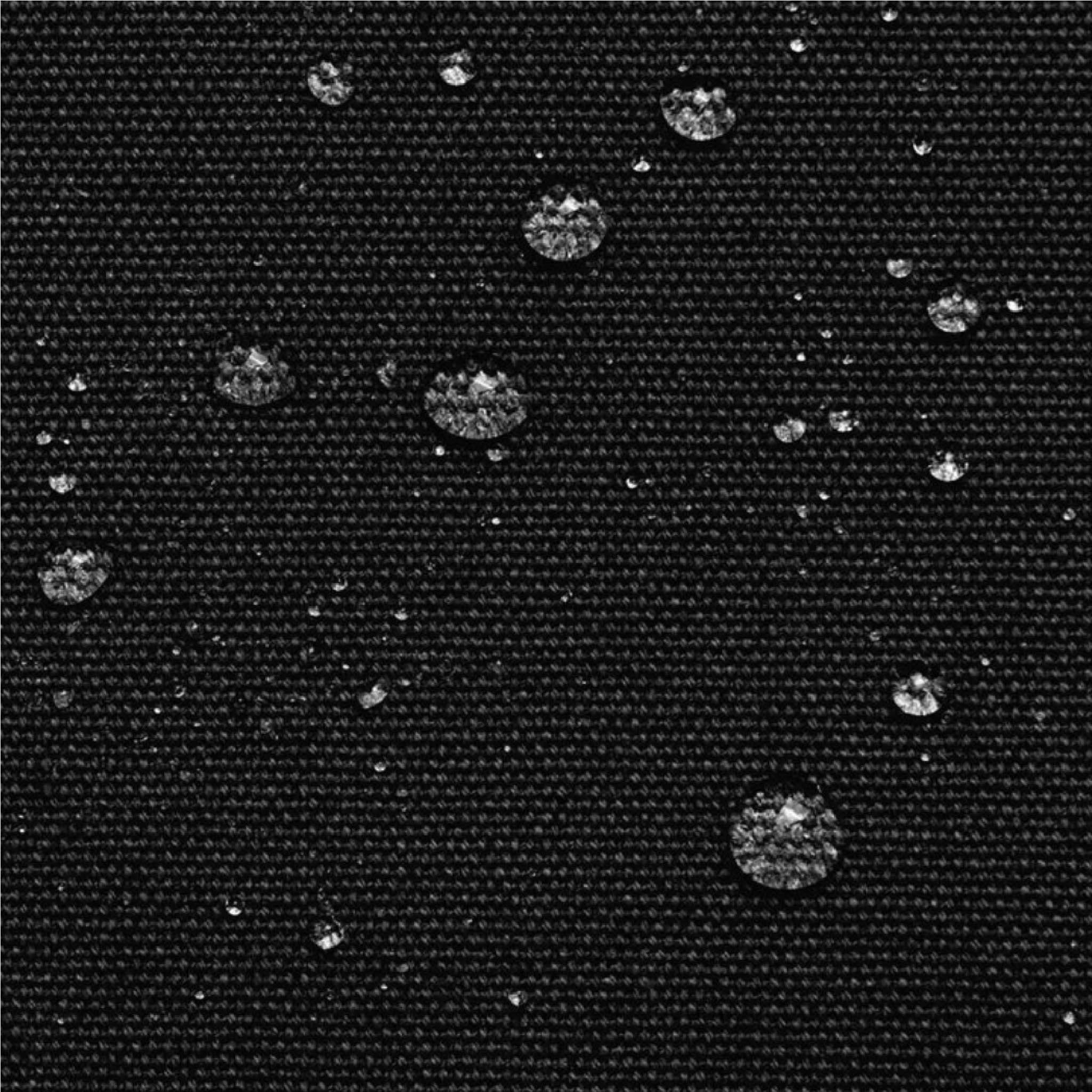 Guillaume Organic Cotton Canvas Backpack in Black