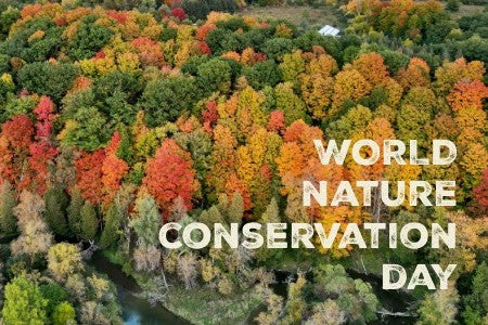 Tiny Wardrobes, Big Impact: 5 Easy Eco Swaps for Kids’ Clothes