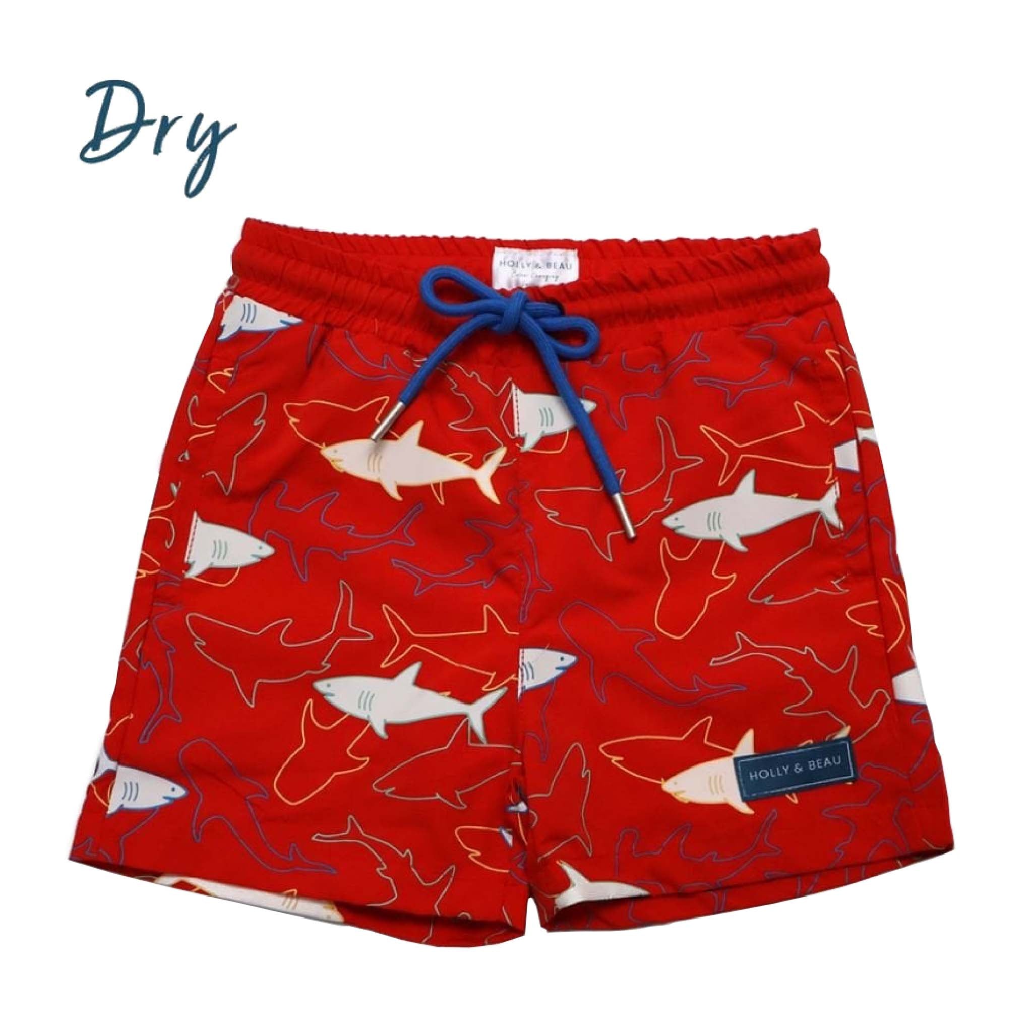 Sharks Changing Swim Shorts