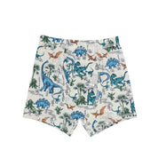 Boys' Brief 3-Pack, Cast A Line + Recycle + Dinoland