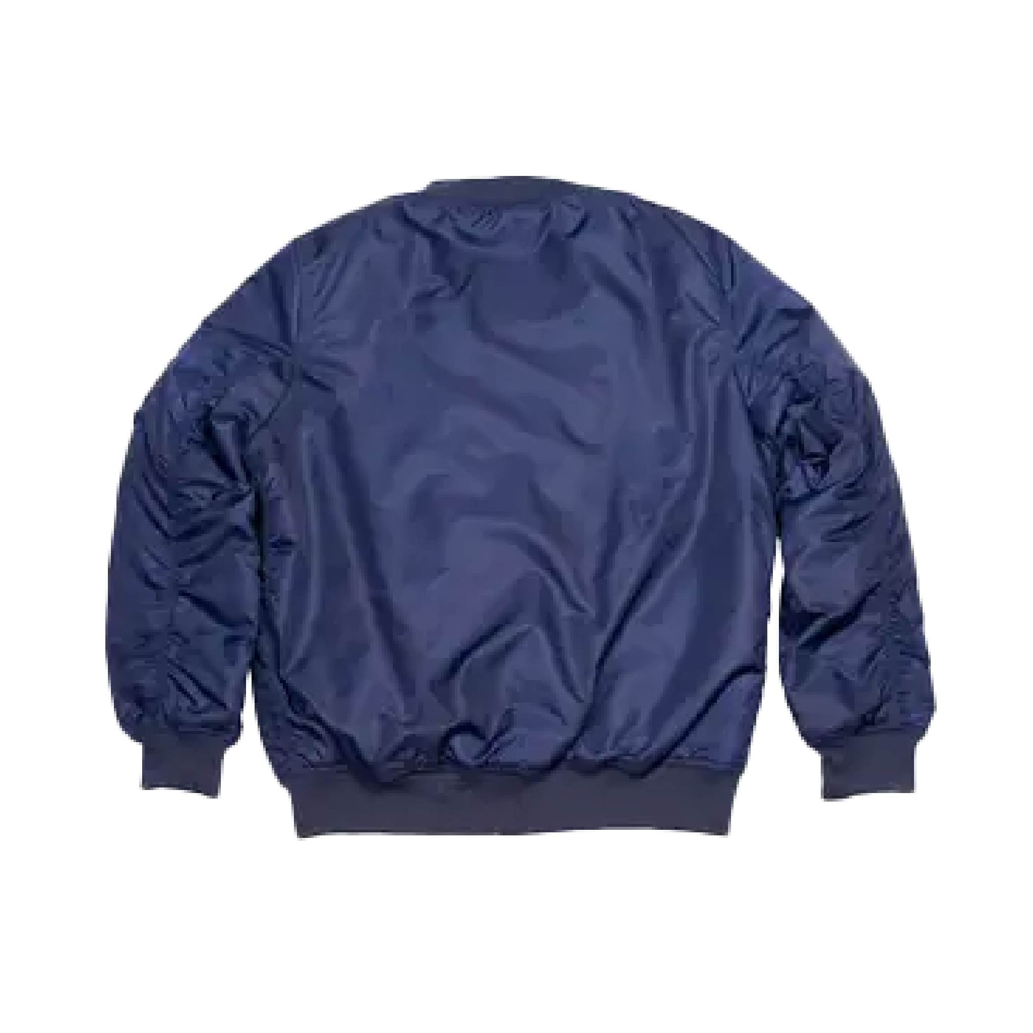 ATD-WEB-2048px-UA-lightweight-jacket-navy-NASA-back.jpg